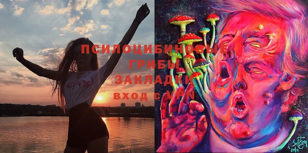 МДМА Алексеевка